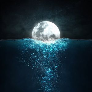 Preview wallpaper moon, sea, jellyfish, night, underwater world