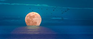 Preview wallpaper moon, sea, night, birds