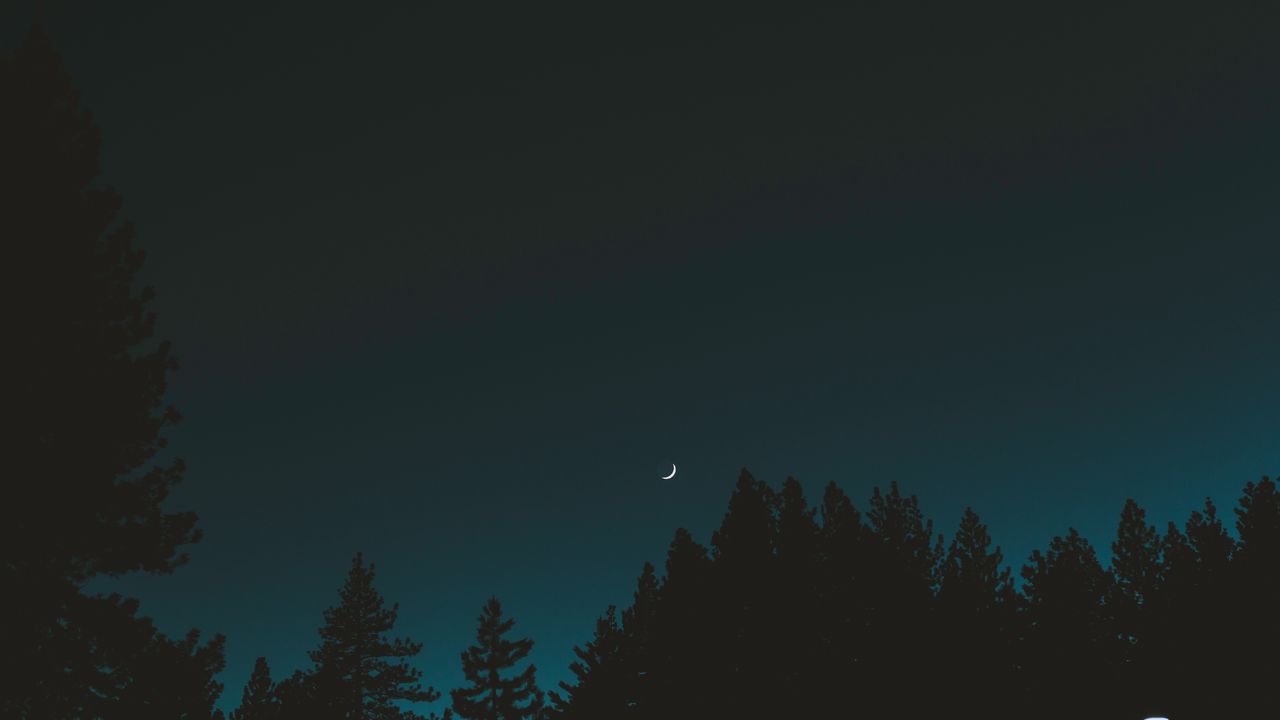 Wallpaper moon, sky, night, trees, crescent
