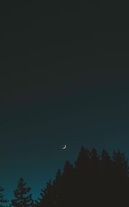 Preview wallpaper moon, sky, night, trees, crescent