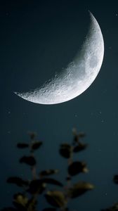 Preview wallpaper moon, starry sky, crater, branch