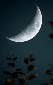 Preview wallpaper moon, starry sky, crater, branch