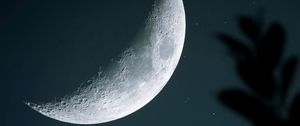 Preview wallpaper moon, starry sky, crater, branch