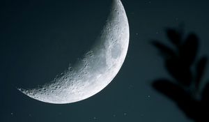 Preview wallpaper moon, starry sky, crater, branch