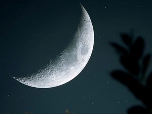 Preview wallpaper moon, starry sky, crater, branch