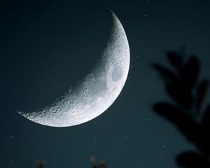 Preview wallpaper moon, starry sky, crater, branch