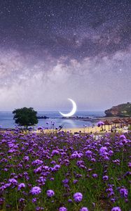 Preview wallpaper moon, starry sky, photoshop, beach, milky way, flowers