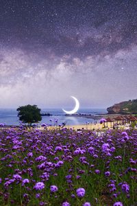 Preview wallpaper moon, starry sky, photoshop, beach, milky way, flowers