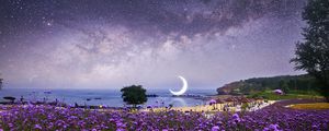 Preview wallpaper moon, starry sky, photoshop, beach, milky way, flowers