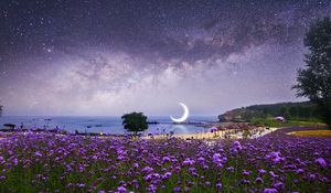 Preview wallpaper moon, starry sky, photoshop, beach, milky way, flowers