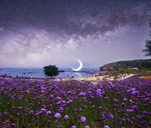 Preview wallpaper moon, starry sky, photoshop, beach, milky way, flowers