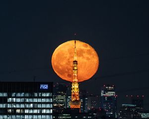 Preview wallpaper moon, tower, buildings, city, lights, night