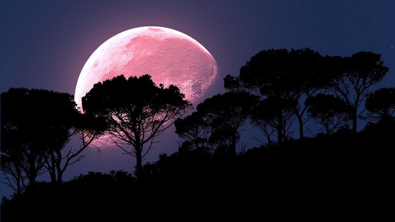 Wallpaper moon, tree, photoshop, night, full moon, planet