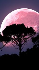 Preview wallpaper moon, tree, photoshop, night, full moon, planet