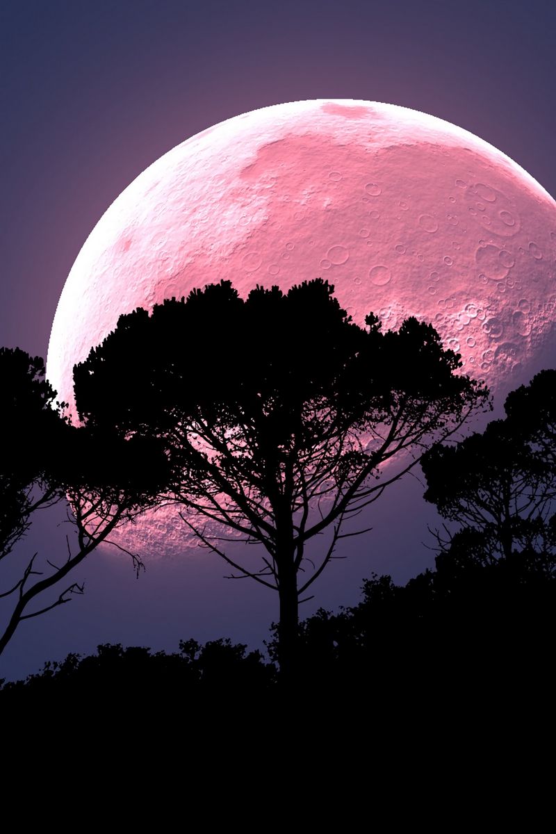 Download wallpaper 800x1200 moon, tree, photoshop, night, full moon, planet  iphone 4s/4 for parallax hd background