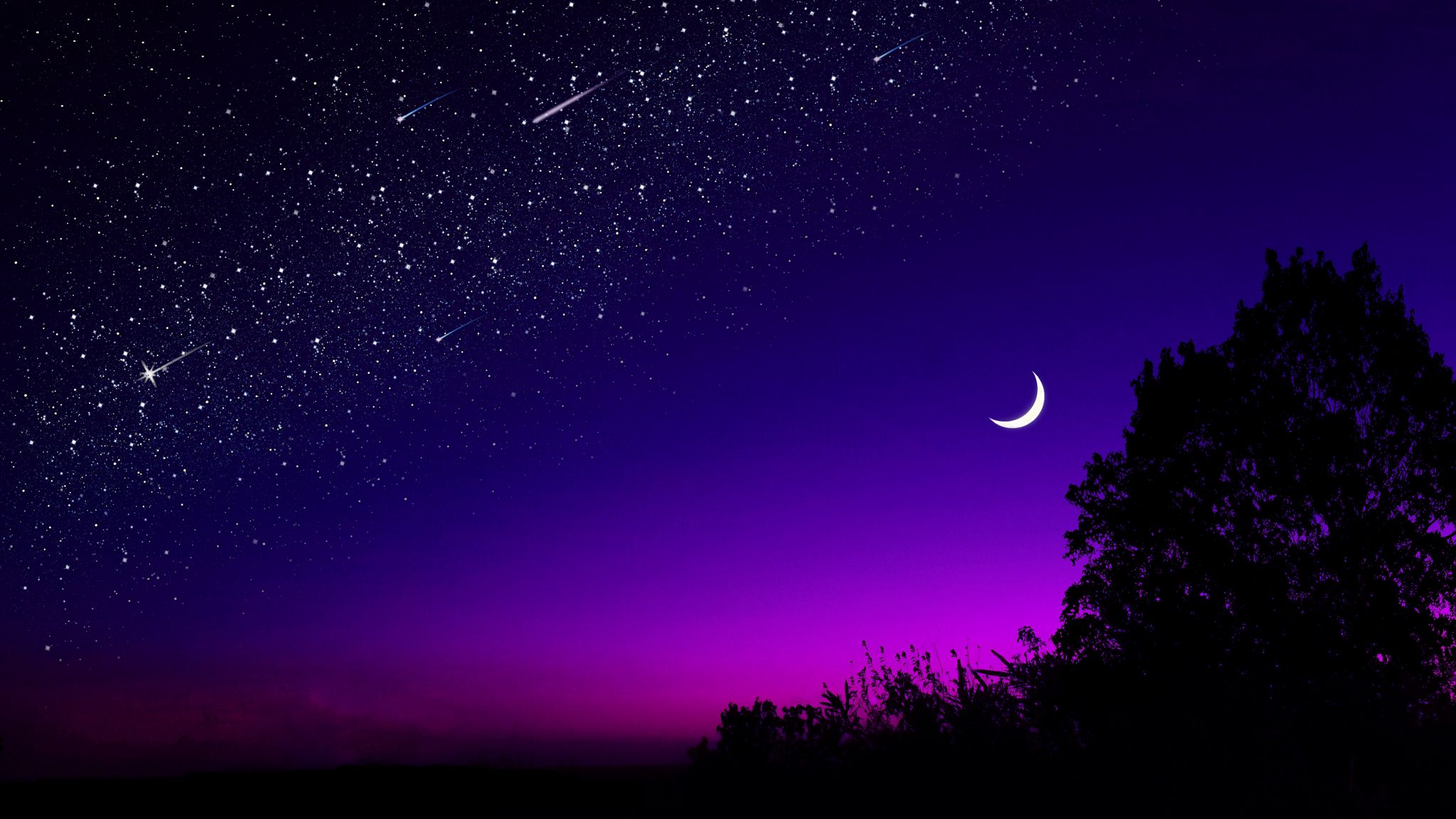 2048x1152 Wallpaper moon, tree, starry sky, night, stars, dark