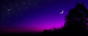 Preview wallpaper moon, tree, starry sky, night, stars, dark