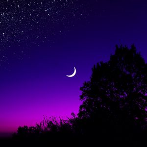 Preview wallpaper moon, tree, starry sky, night, stars, dark