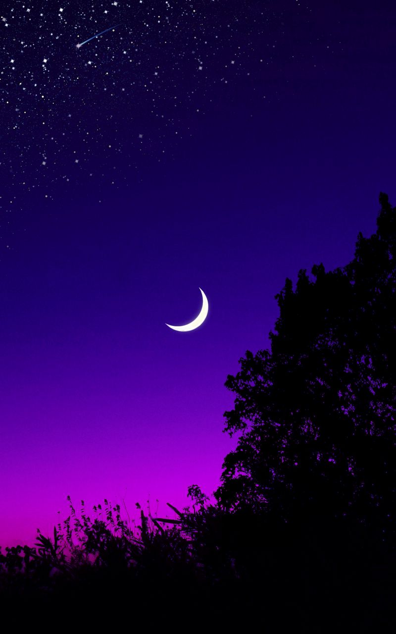 Hãy tải hình nền 800x1280 đầy mãn nguyện với cảnh trăng, cây và bầu trời tràn ngập sao. Hình ảnh đêm với ngôi sao lấp lánh sẽ mang lại cho bạn cảm giác tĩnh lặng và bình yên, tạo nên một không gian nghỉ ngơi thật tuyệt vời.