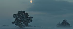 Preview wallpaper moon, trees, bushes, dusk, evening