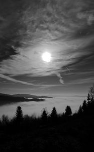 Preview wallpaper moon, trees, bw, forest, sky