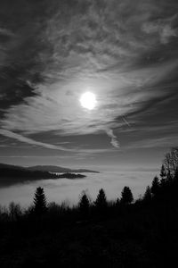 Preview wallpaper moon, trees, bw, forest, sky