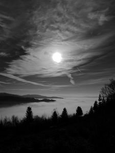 Preview wallpaper moon, trees, bw, forest, sky