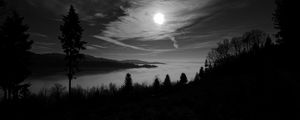 Preview wallpaper moon, trees, bw, forest, sky