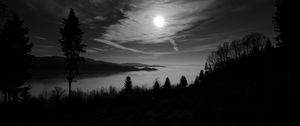 Preview wallpaper moon, trees, bw, forest, sky