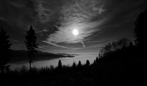 Preview wallpaper moon, trees, bw, forest, sky