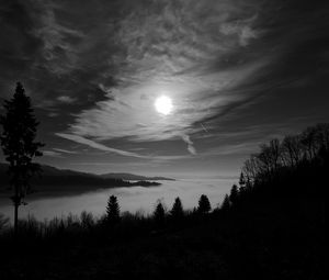 Preview wallpaper moon, trees, bw, forest, sky