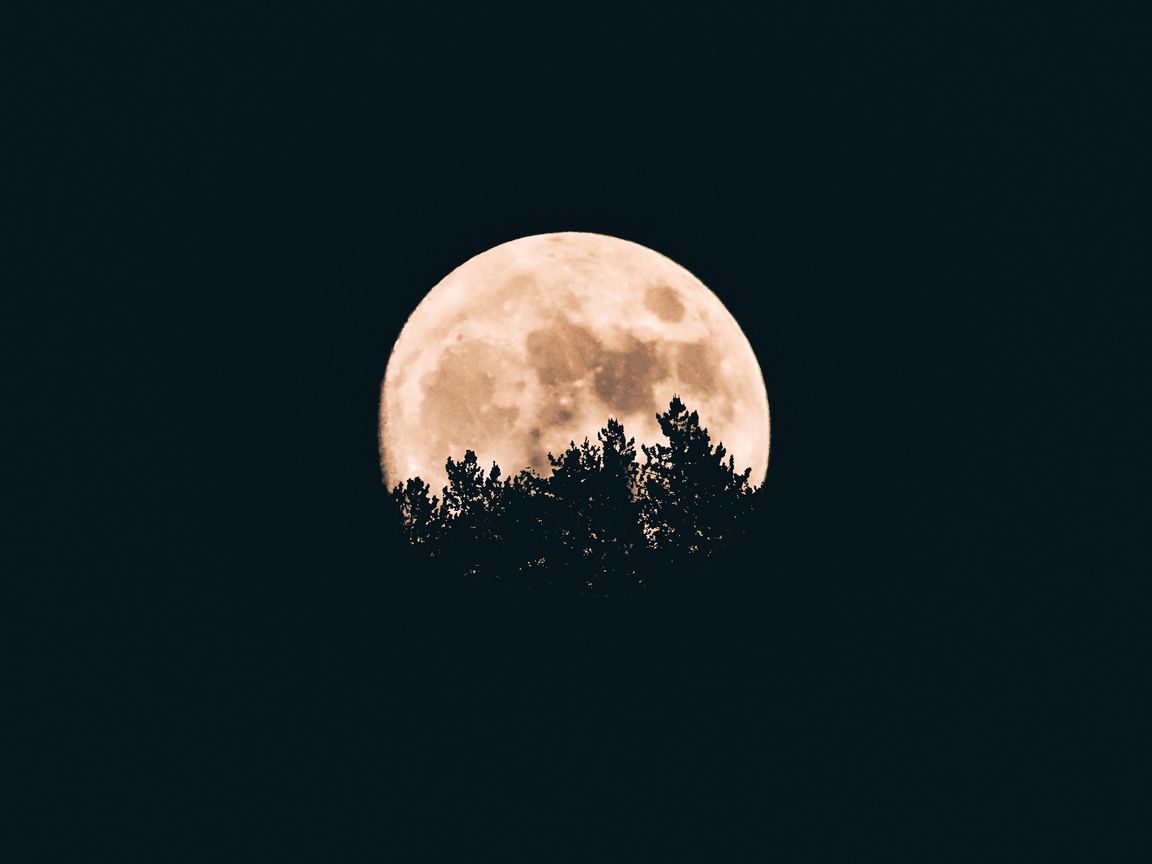 1152x864 Wallpaper moon, trees, dark, night