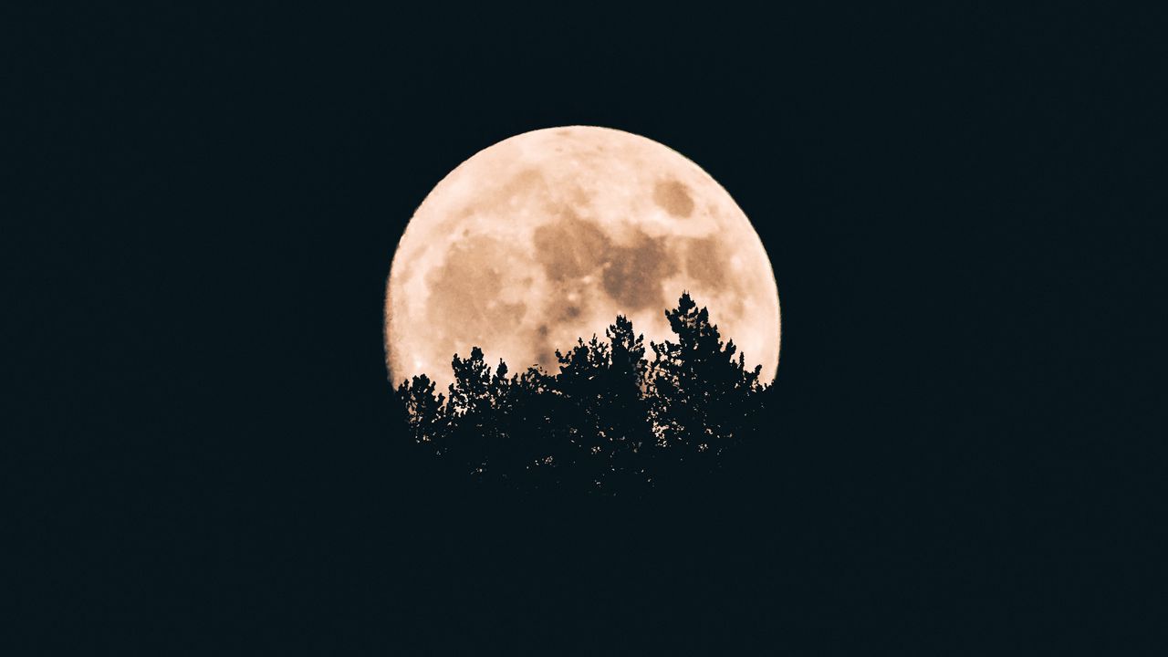 1280x720 Wallpaper moon, trees, dark, night