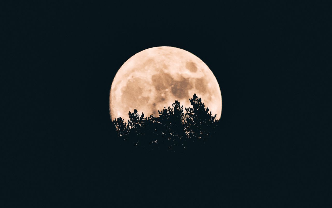1280x800 Wallpaper moon, trees, dark, night