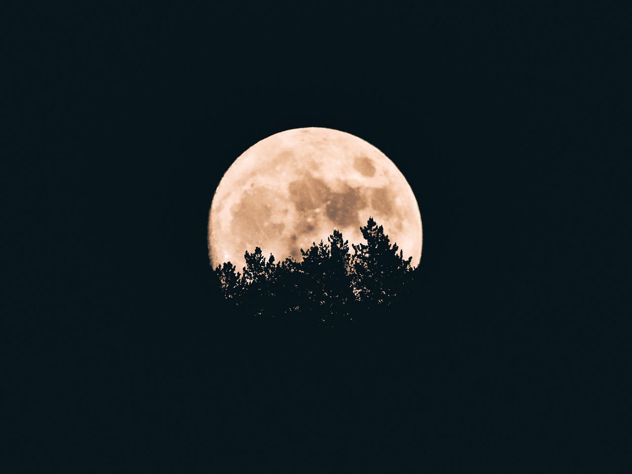 1280x960 Wallpaper moon, trees, dark, night