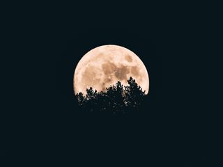 320x240 Wallpaper moon, trees, dark, night