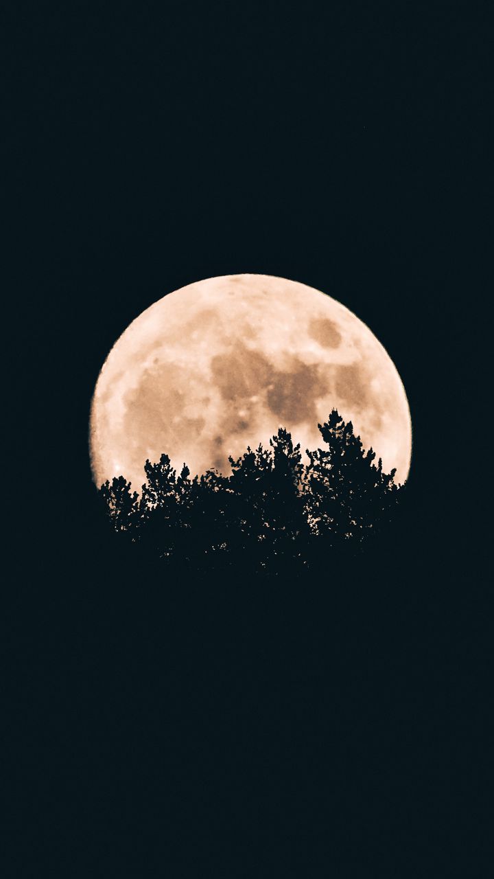 720x1280 Wallpaper moon, trees, dark, night