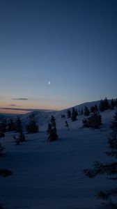 Preview wallpaper moon, trees, hills, night, snow, winter