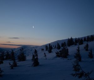 Preview wallpaper moon, trees, hills, night, snow, winter