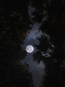 Moon old mobile, cell phone, smartphone wallpapers hd, desktop backgrounds  240x320, images and pictures