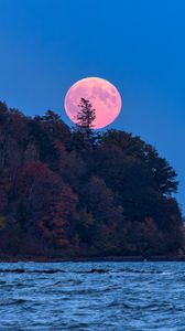 Preview wallpaper moon, trees, sea, landscape, nature