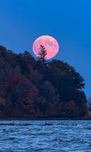 Preview wallpaper moon, trees, sea, landscape, nature