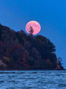 Preview wallpaper moon, trees, sea, landscape, nature