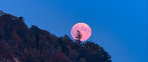 Preview wallpaper moon, trees, sea, landscape, nature
