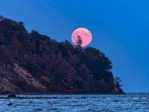 Preview wallpaper moon, trees, sea, landscape, nature