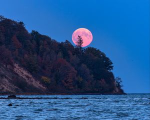 Preview wallpaper moon, trees, sea, landscape, nature