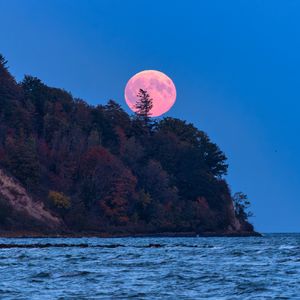 Preview wallpaper moon, trees, sea, landscape, nature