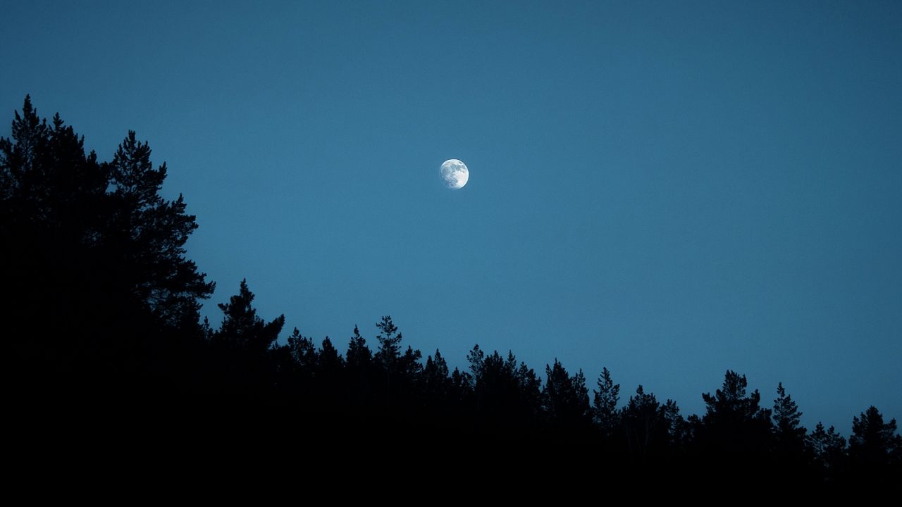 Wallpaper moon, trees, silhouettes, outlines, night, dark