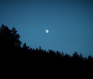 Preview wallpaper moon, trees, silhouettes, outlines, night, dark