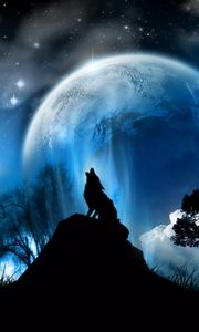 Preview wallpaper moonlight, wolf, fantasy